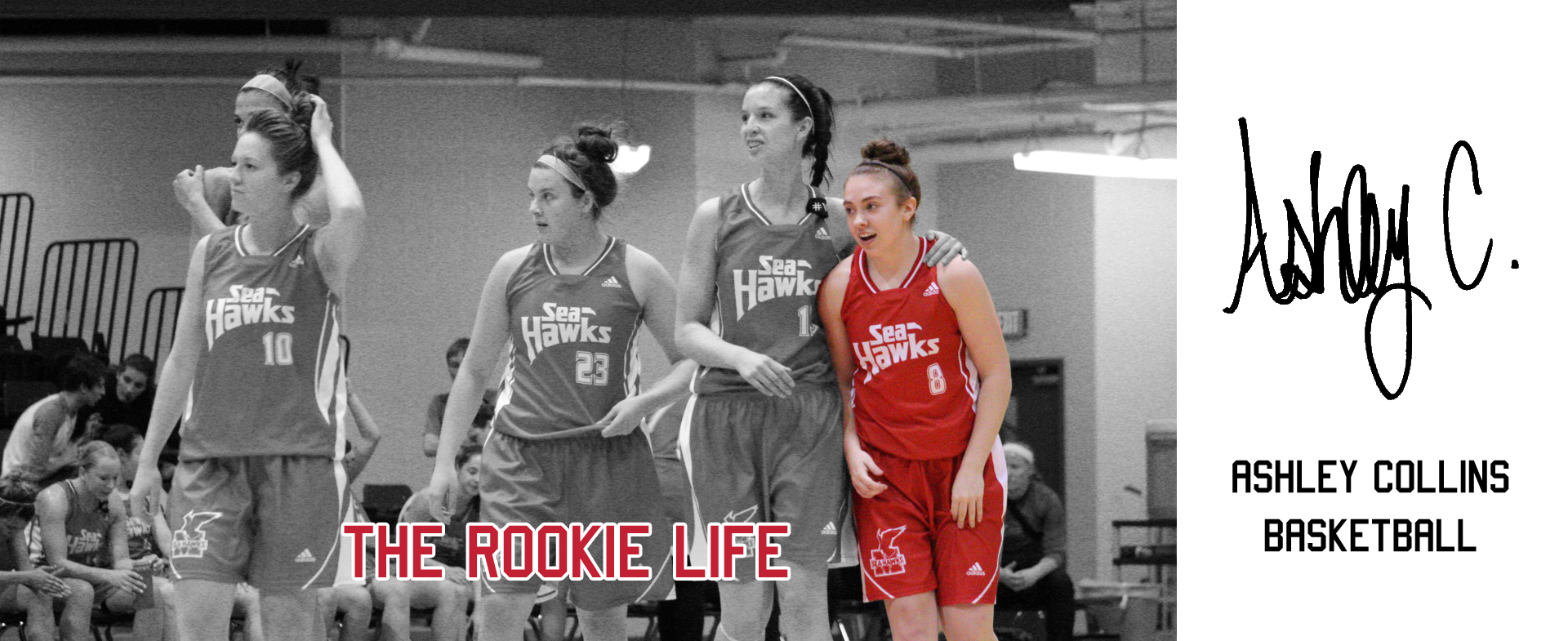 The Rookie Life