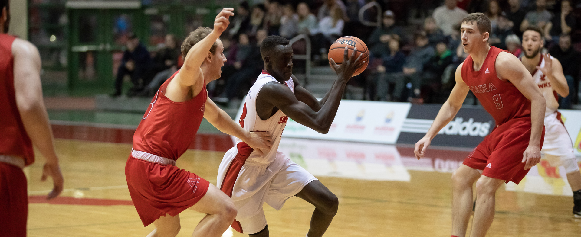 Hawks & Axemen Match-Up in Wolfville