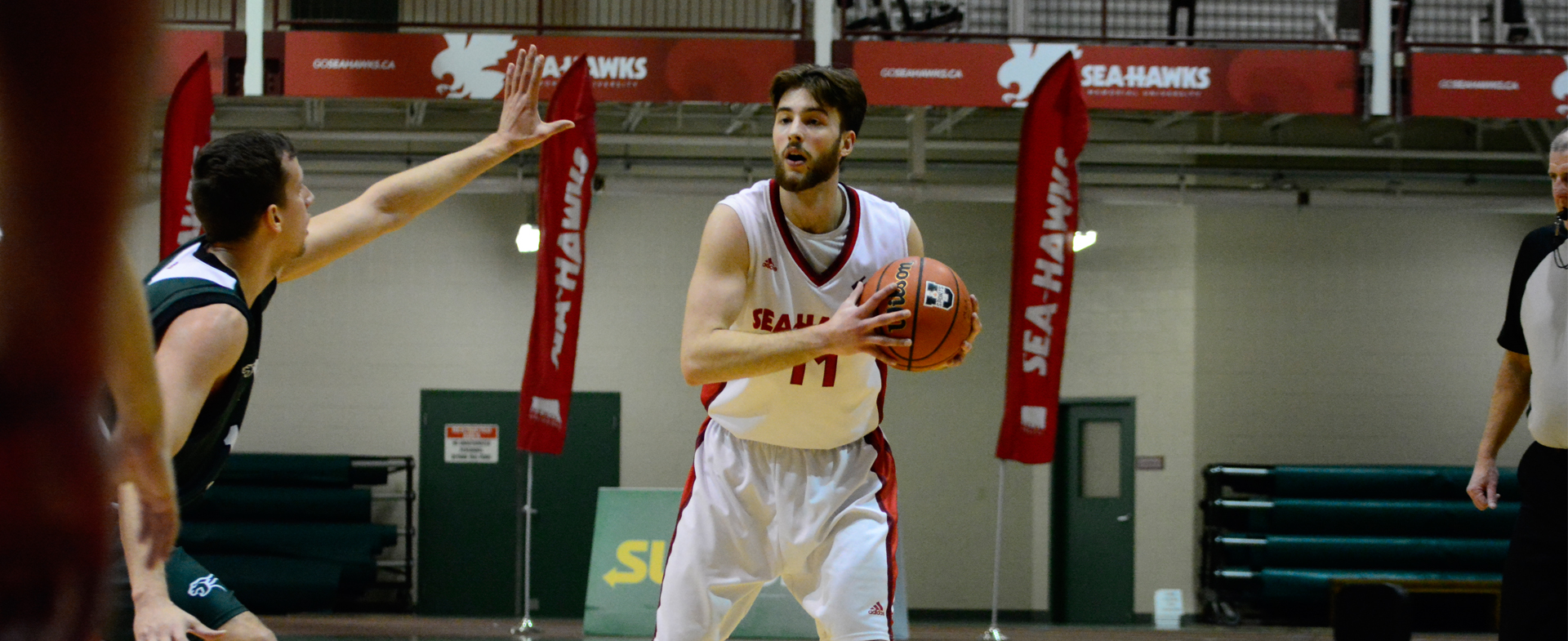 Sea-Hawks Win Big Over Panthers
