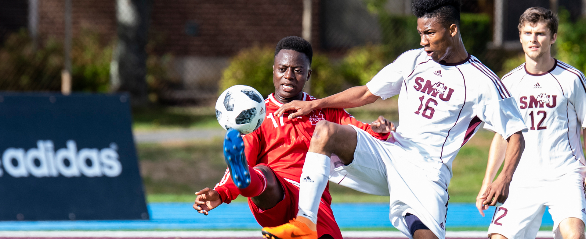 Sea-Hawks Open Season at Home Versus Huskies