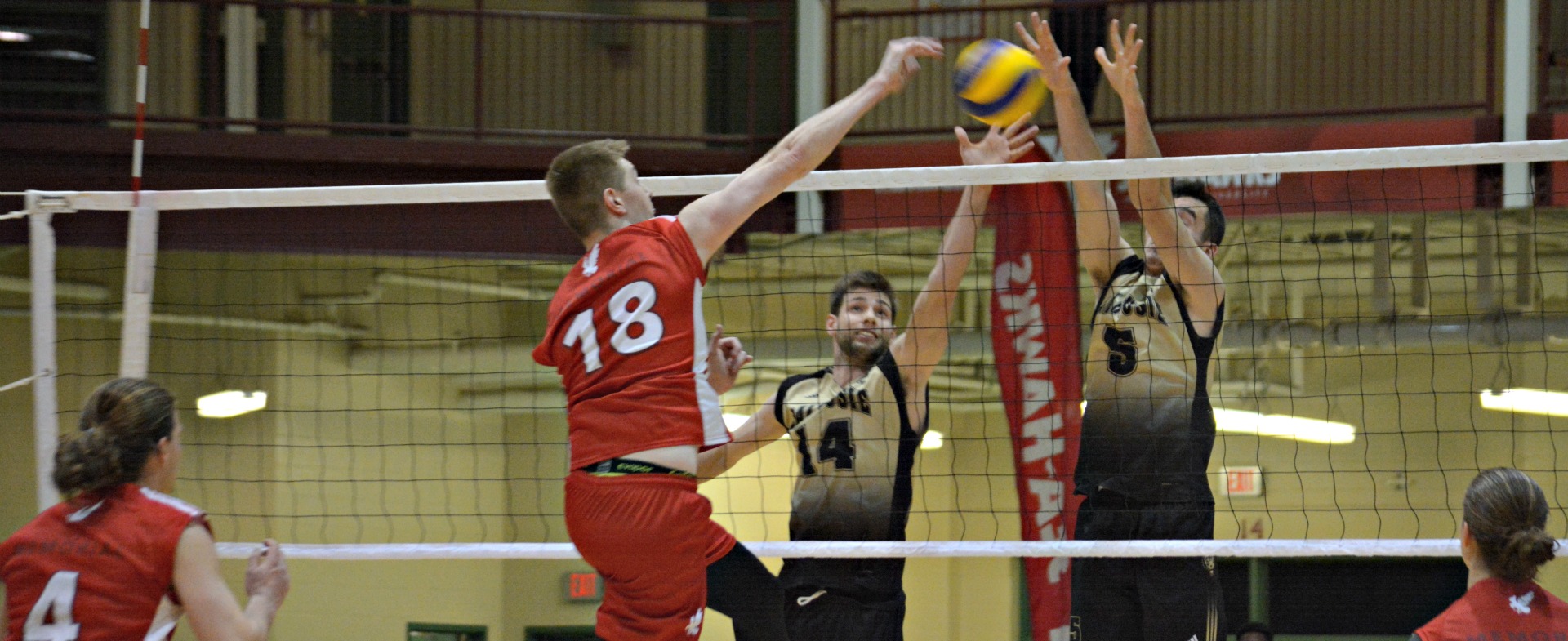 Sea-Hawks downed 3 to 0 by Tigers