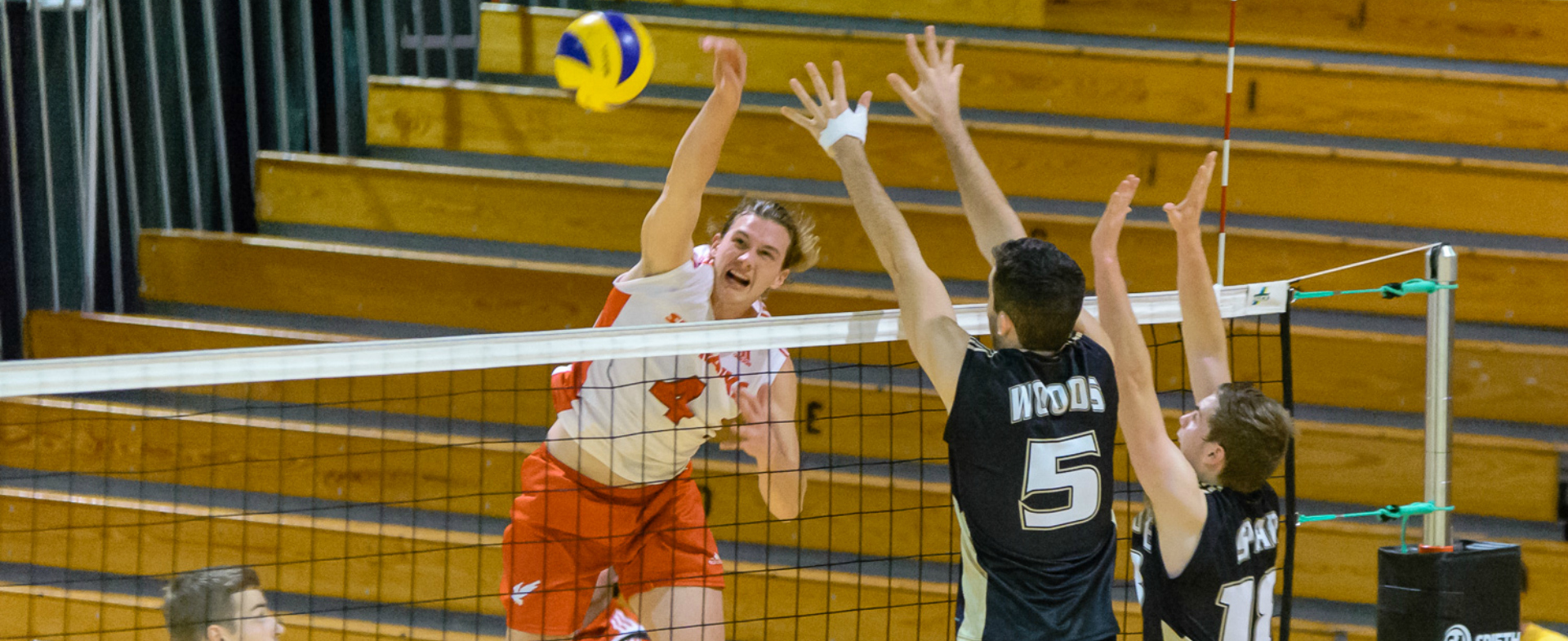 Tigers take home opener 3-0 against Sea-Hawks