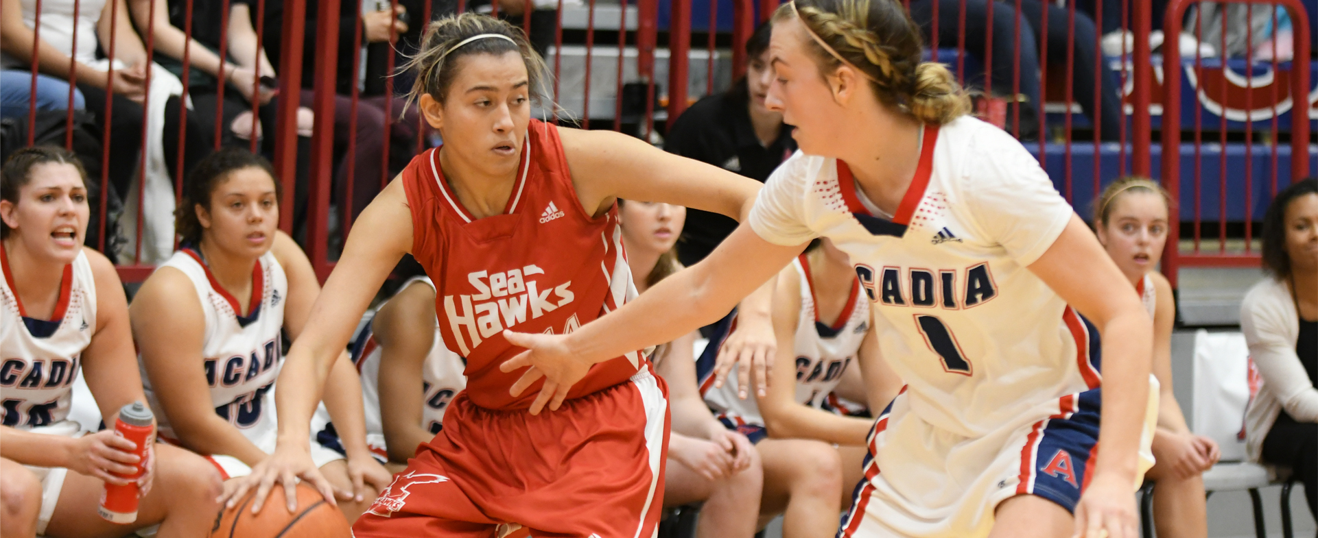 Sea-Hawks Drop Opener to Axewomen