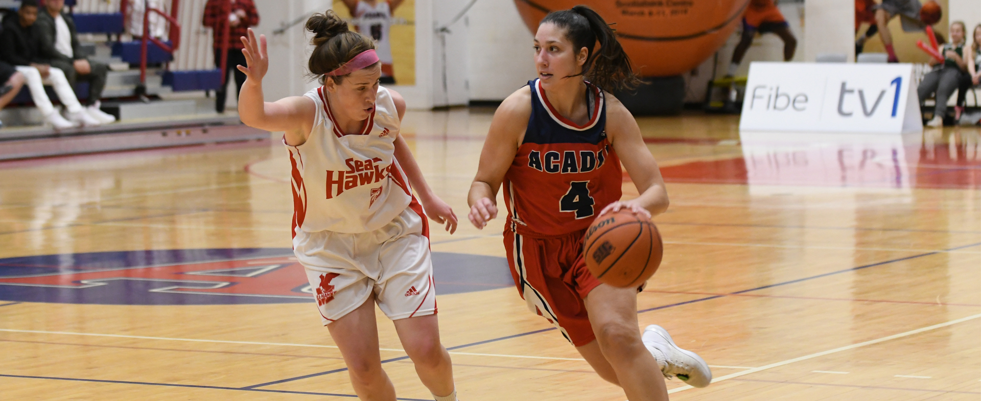 Hawks Face Tigers in Home Opener