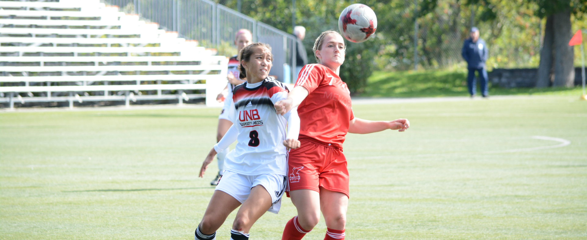 Sea-Hawks Return to the Pitch