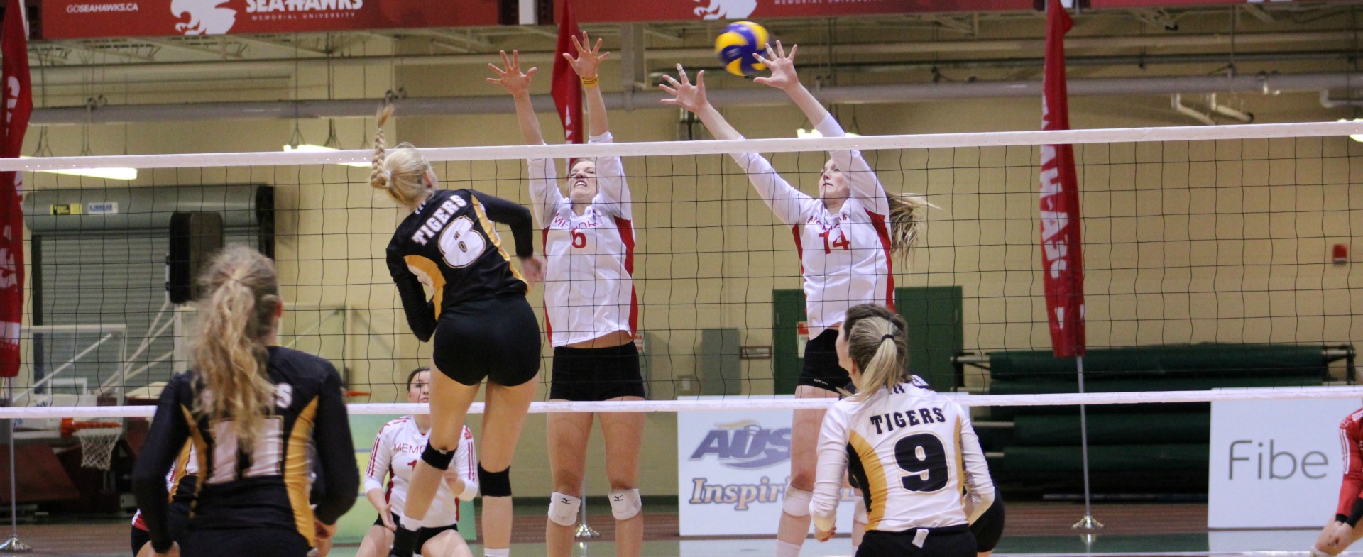 Tigers Take Weekend Series 2-1 Over Sea-Hawks