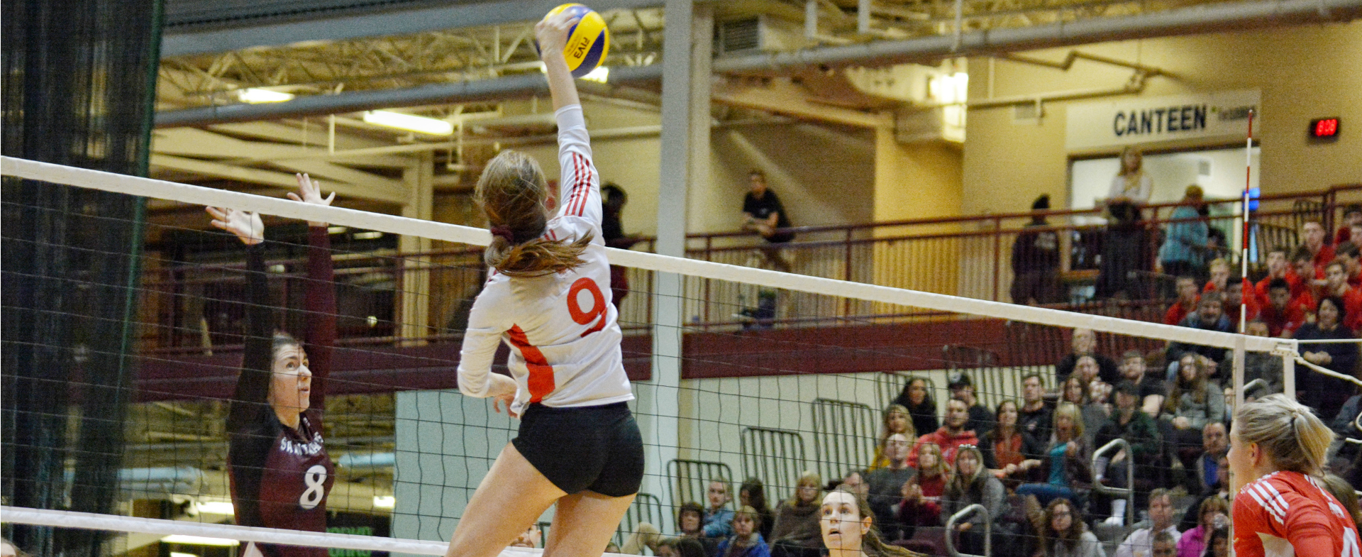 Sea-Hawks Take On Huskies in Playoff Opener