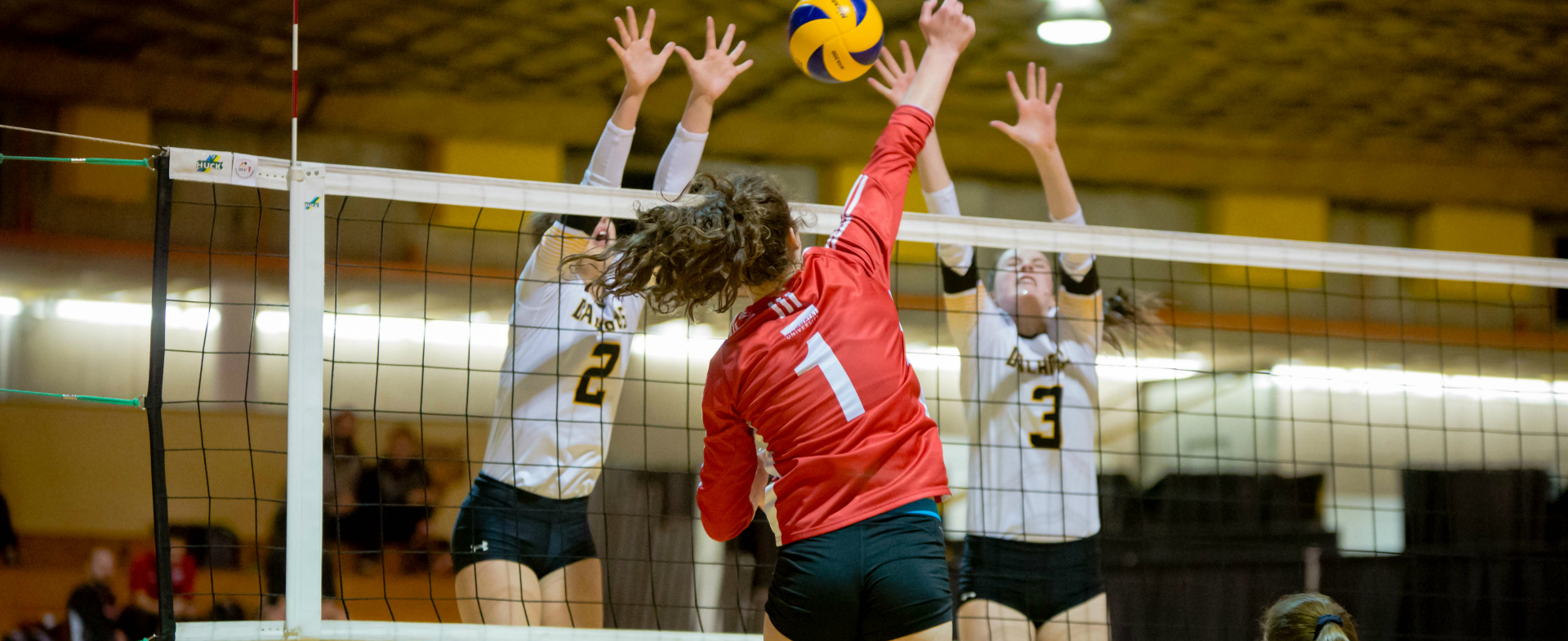 Tigers Defeat Sea-Hawks 3-1