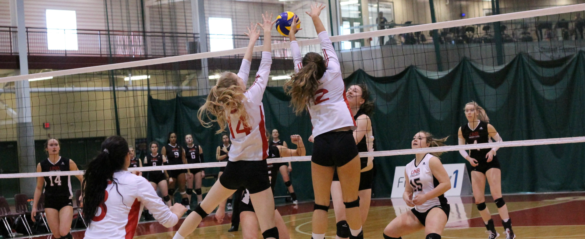 Hawks Sweep Weekend Series Over UNB