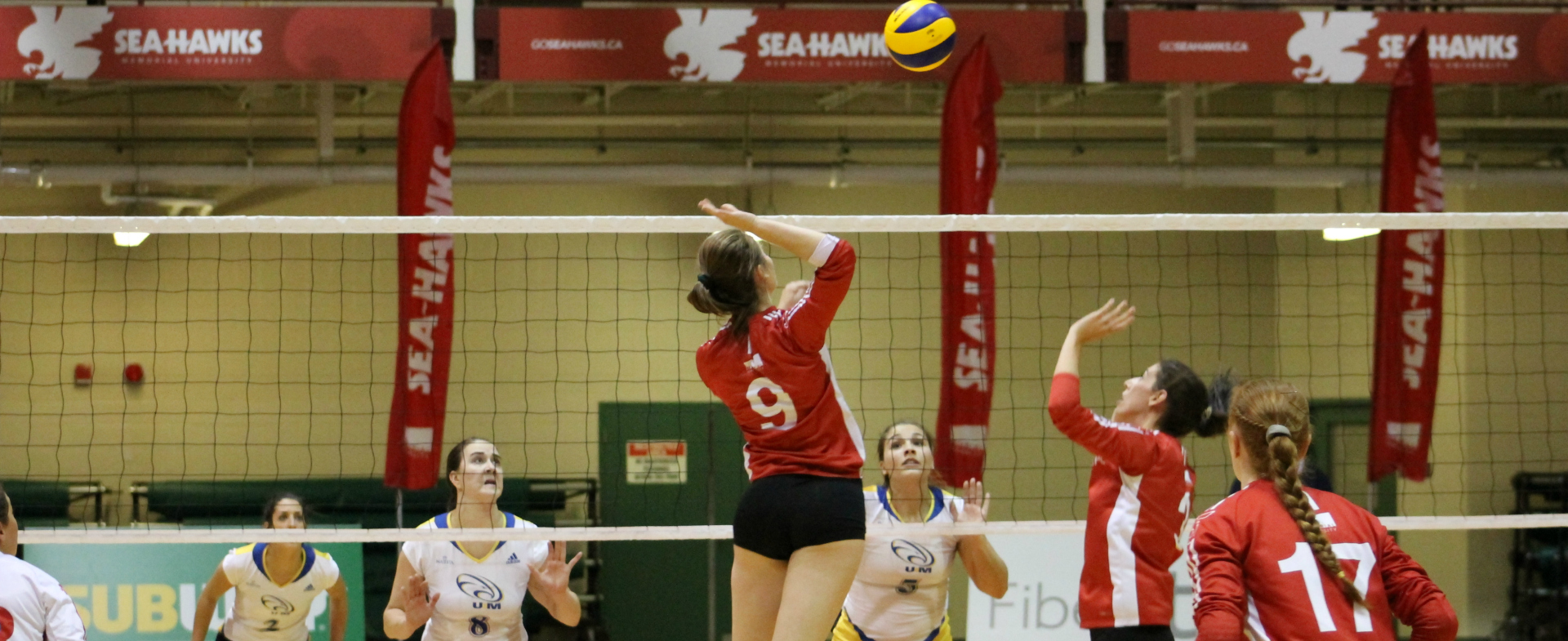 Hawks Open Season With 3-0 Sweep Over Moncton