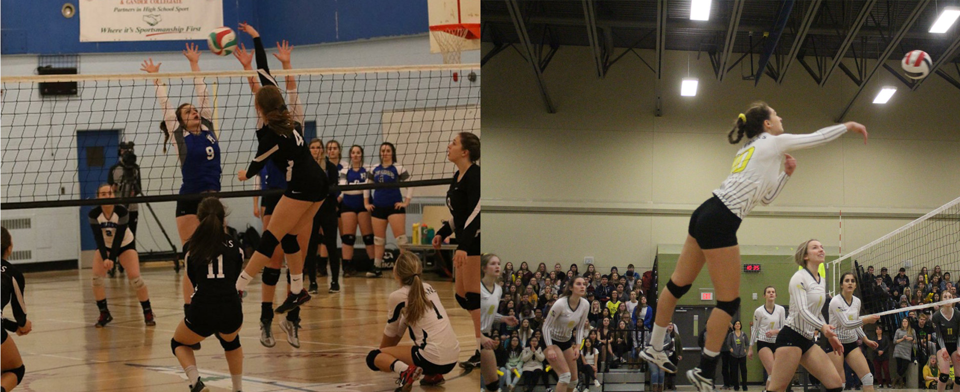 Slauenwhite adds to Sea-Hawk squad with two new recruits