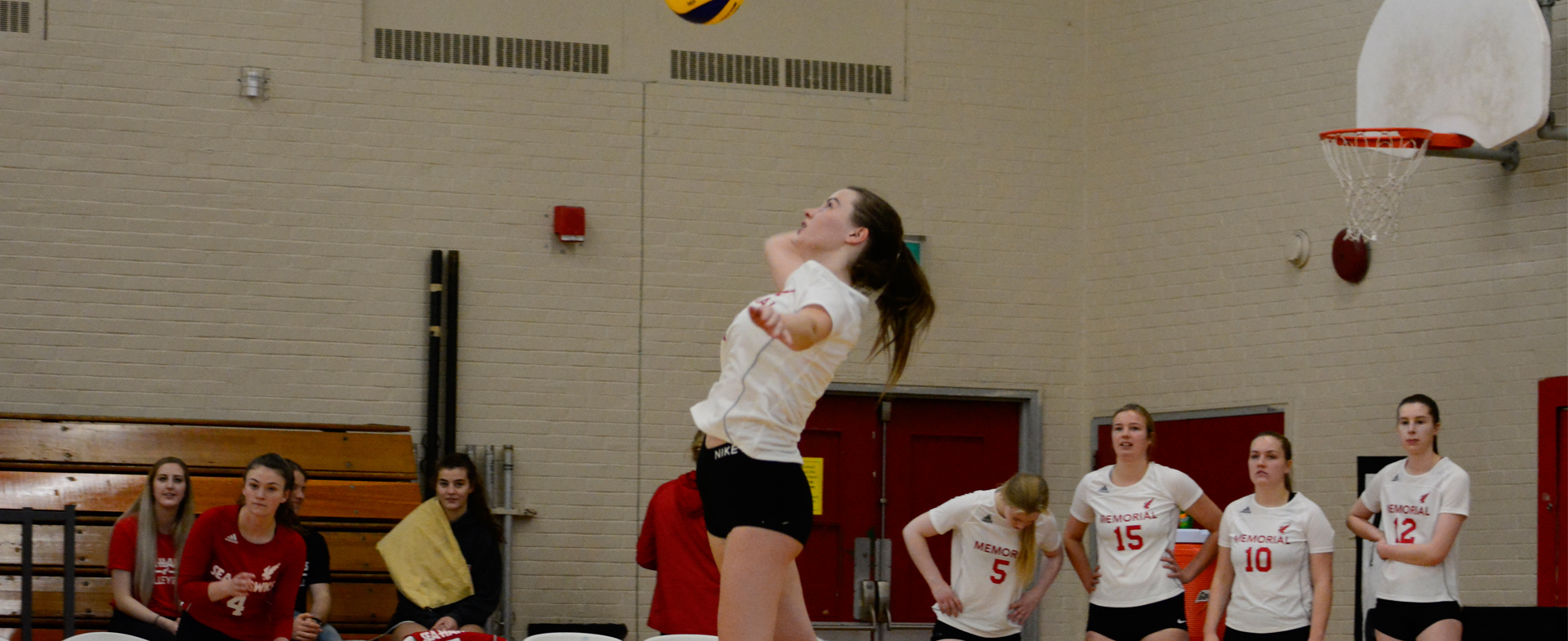 Hawks Begin Season on Home Court
