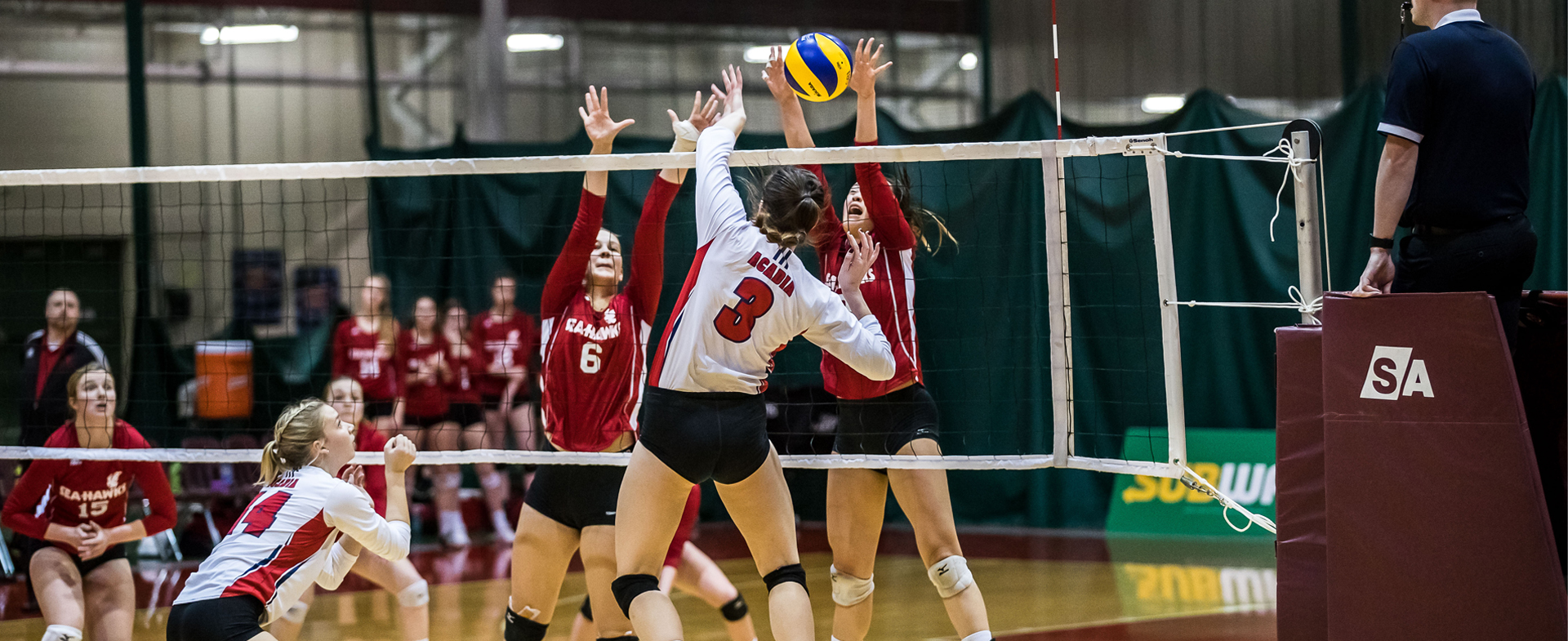 Axewomen Edge Sea-Hawks in 5 Setter